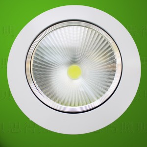 COB LED Down Light