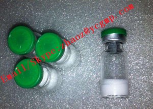 Fat-Loss Injectable Peptides Fragment 176-191 for Weight Loss Fat-Loss Injectable Peptides Fragment 176-191 for Weight Loss