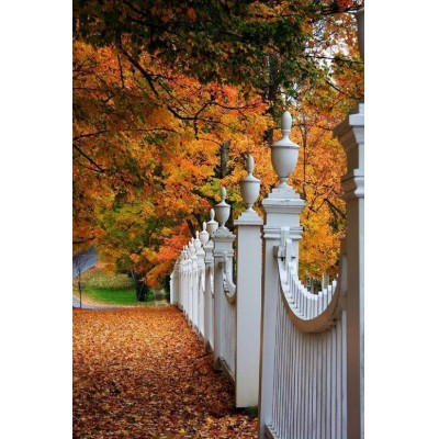 New Products Of Power Coated Security Wrought Iron Fence