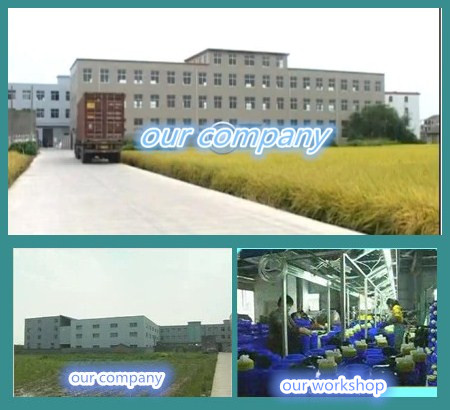 Electric Battery Sprayer (HX-16A)