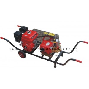 Stretcher Power Sprayer with CE for Agricutural Irrigation (RJ-45C)