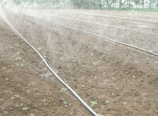 China Low Cost High Efficient Polyethylene Spraying Hose for Agriculture Farm Dia 28, 32, 40, 45, 50