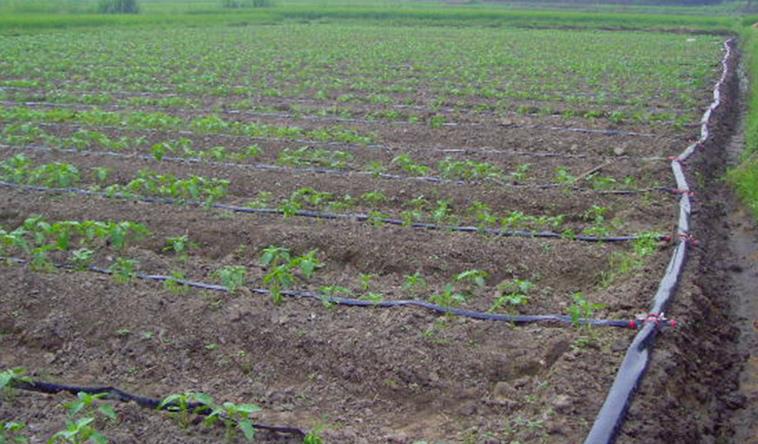 Low Cost Light Polyprythylene End Plug for Spraying Hose