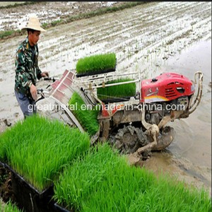 6row Hight Speed Rice Transplanter (T-119)
