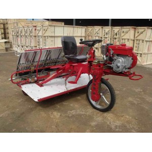 6 Rows Rice Transplanter with 2 Wheels (2ZT-6300B)