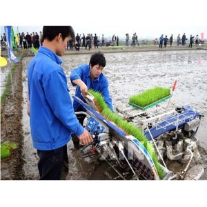 Rapid Rice Transplanter (2ZT-6300B)