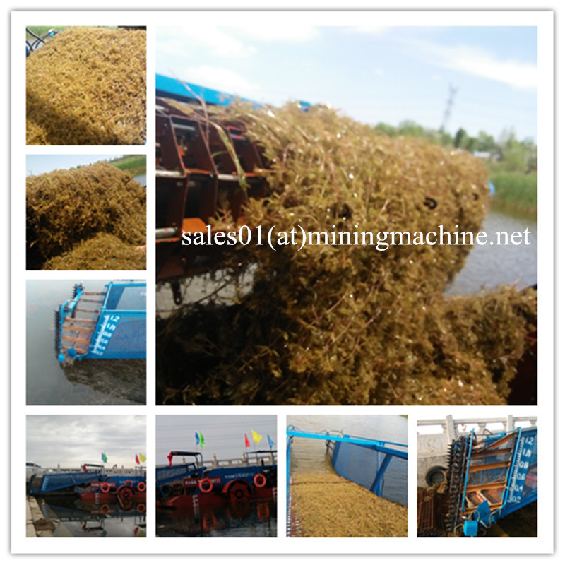 Good Quality Hydraulic Lake Weed Harvester for Sale