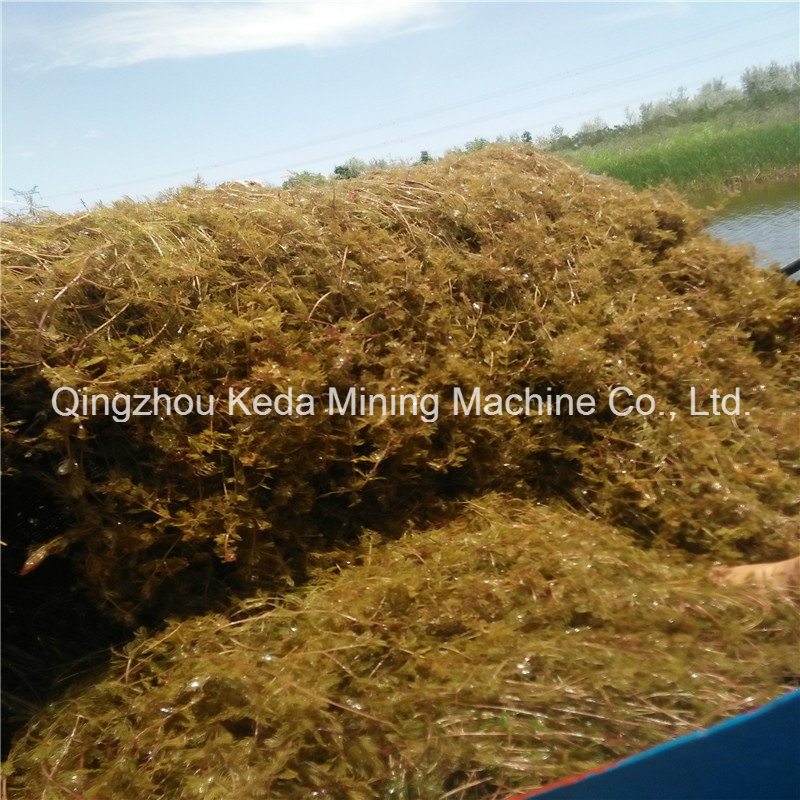 Aquatic Weed Harvester Garbage Ships