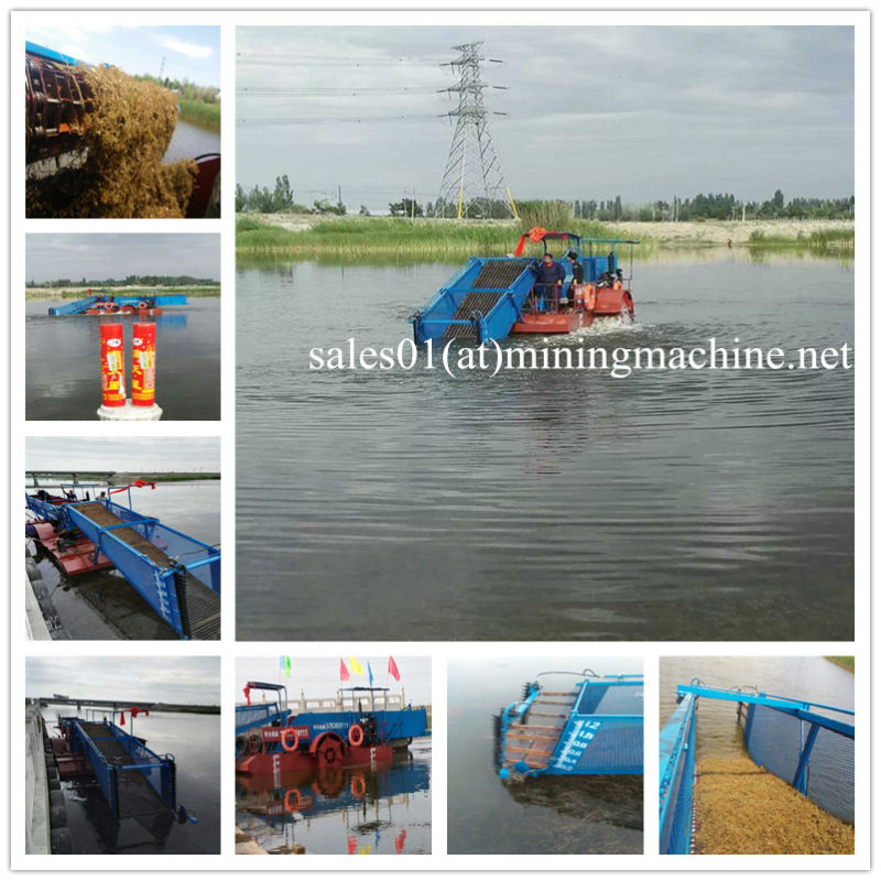 High Quality Lake Hyacinth Weed Harvester