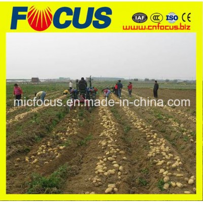 Best Quality Potato Harvesting Machine, Mini Sweet Potato Harvester