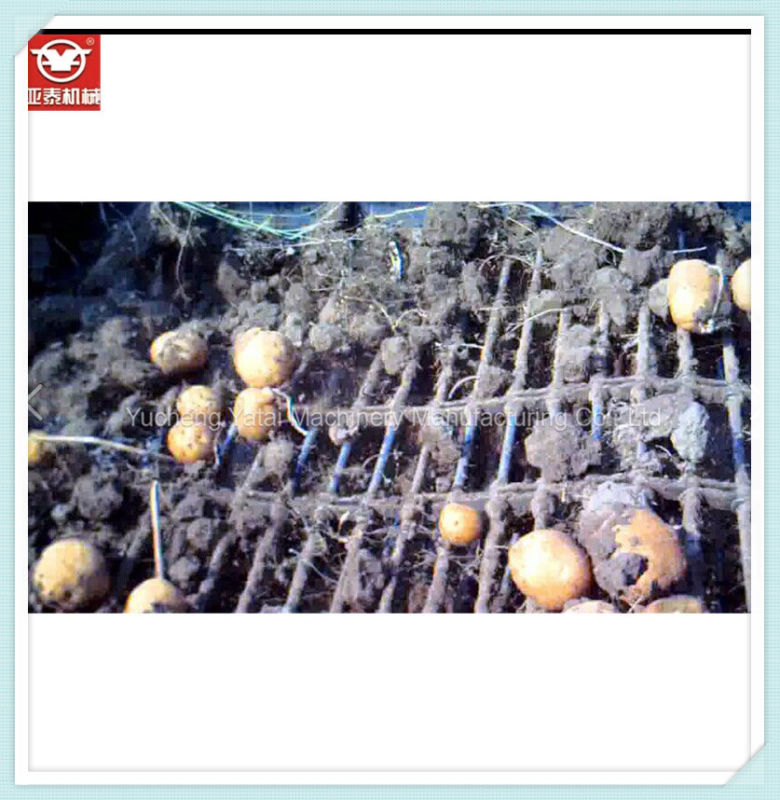 Farming Machine Potato Harvester for 70HP Tractor