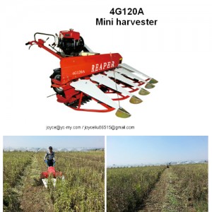Chinese Hand Operated Green Bean Harvester for Sale