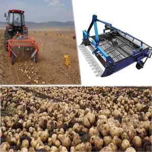 High Efficiency Prompt Potato Harvesting Equipment
