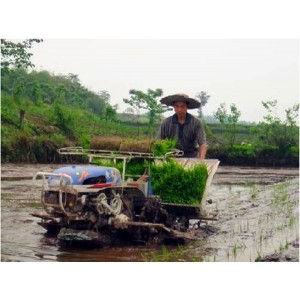 Belt Type Rice Transplanter (2ZT-8238BG)
