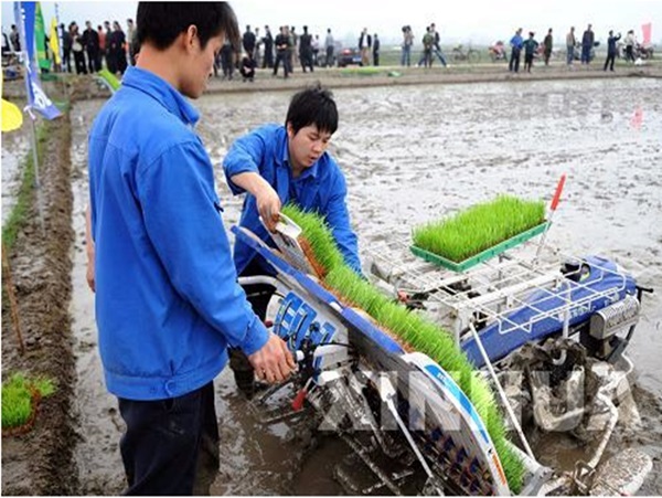 Paddy Field Rice Transplanter (2ZT-6300B)