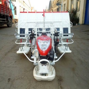 Efficient Transplanter (2ZT-10238BG)