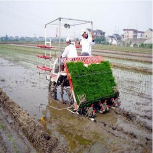 Stainless Steel Rice Transplanter (2ZT-6300B)