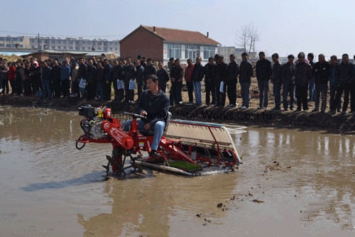 6 Rows Rice Transplanter (2ZT-6300)