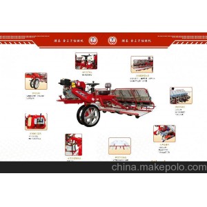 6 Rows Rice Transplanter (2ZT-6300)