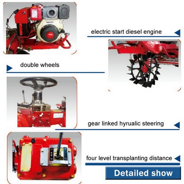 Electrice Automatic Hydraulic Pressure Rive Transplanter (2ZT-8238BGt)