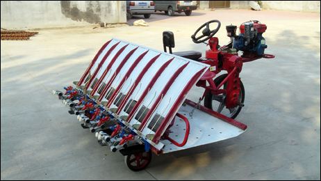 Electrice Automatic Hydraulic Pressure Rive Transplanter (2ZT-8238BGt)