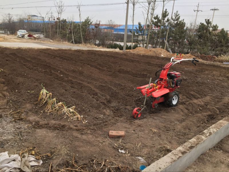 Pastoral Management Ditching Machine