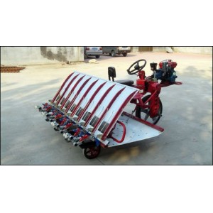 8 Rows Transplanter (2ZT-8238BG)