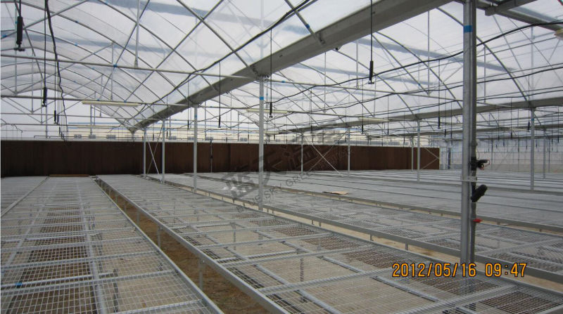 Plastic Film Greenhouse for Seeding