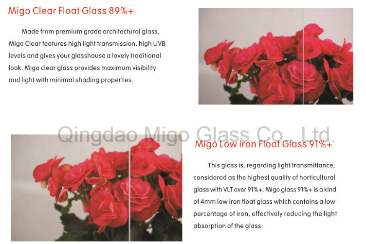 Greenhouse Glass Manufacturer, 4mm Tempered Greenhouse Glass