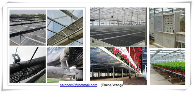 Venlo Glass Greenhouse with Hydroponic System