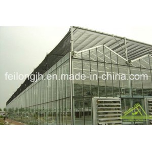 Venlo Glass Greenhouse for Agriculture