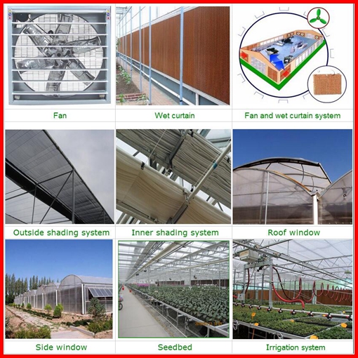 Agriculture Farm Multi Span Plastic Greenhouse Cover for Sale