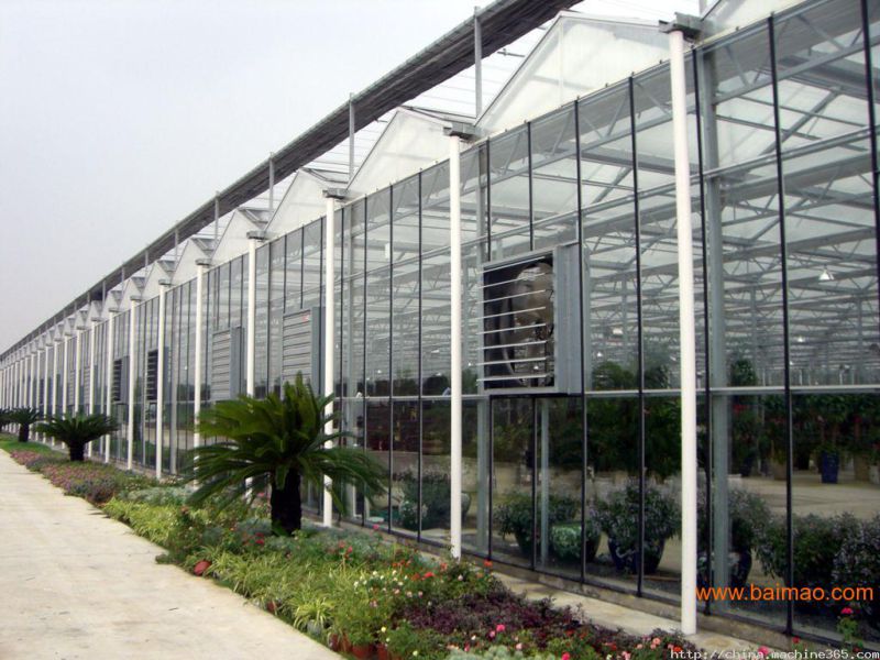 Economical Commercial Polycarbonate Sheet Greenhouse