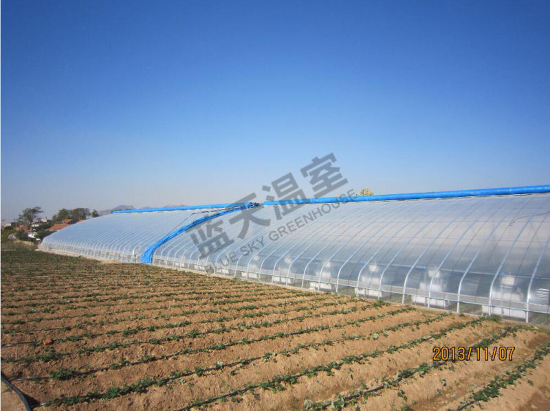 Film Solar Greenhouse Used as Picking Garden