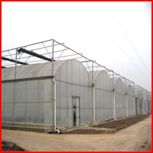 Agriculture Farm Multi Span Plastic Greenhouse Cover for Sale