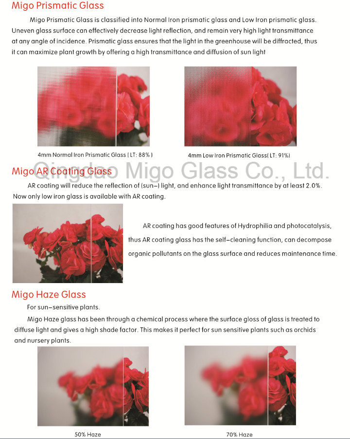 Greenhouse Glass Manufacturer, 4mm Tempered Greenhouse Glass