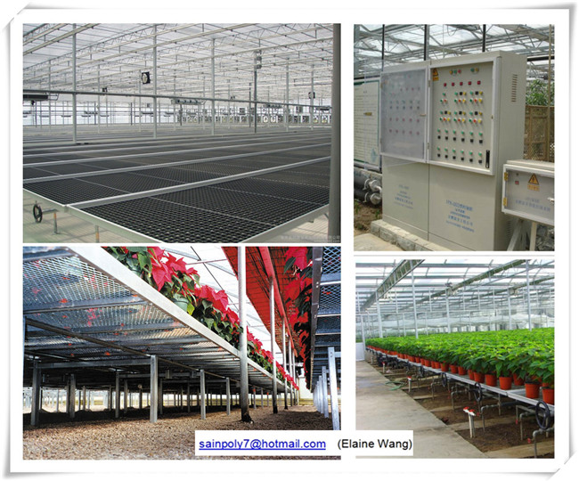 Venlo PC Sheet Greenhouse for Growing Cucumber