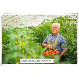 Factory Price Plastic Film Greenhouse Shed for Agriculture