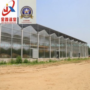Multi Span Polycarbonate Sheet Greenhouse