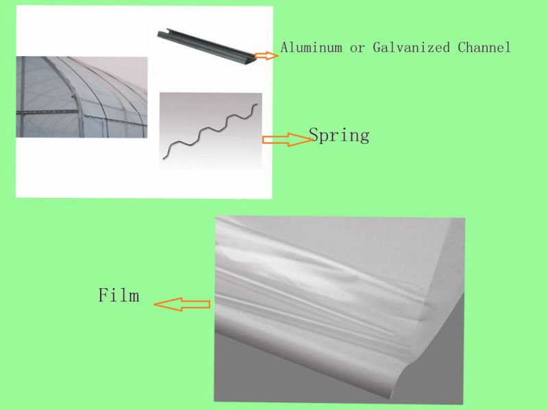 Single-Span Tunnel Greenhouse for Vegetable Grower with Steel Structure