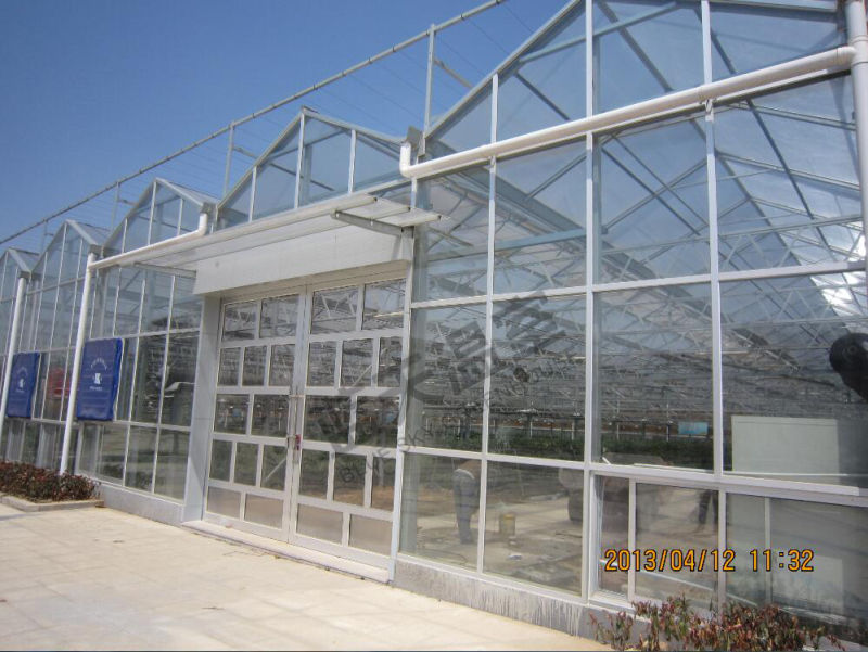 Greet Eeconomic Benefit PC Sheet Greenhouse for Planting