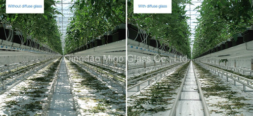4mm Tempered Diffuse Greenhouse Roof Glass with En12150
