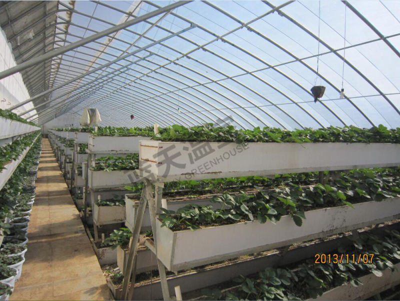Film Solar Greenhouse Used as Picking Garden
