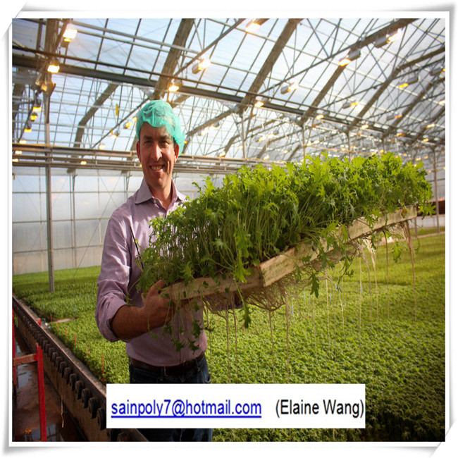 China Factory High Quality PC Sheet Greenhouse for Tomato