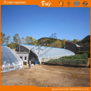 Film Solar Greenhouse Used as Picking Garden