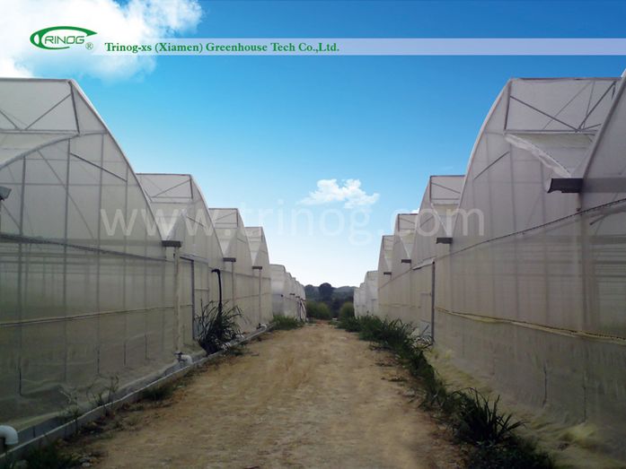 Cheap Commercial Greenhouse for Agricultural Use