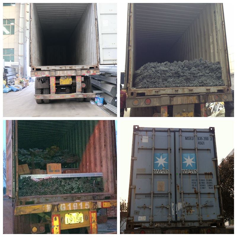 Single-Span Tunnel Greenhouse for Vegetable Grower with Steel Structure