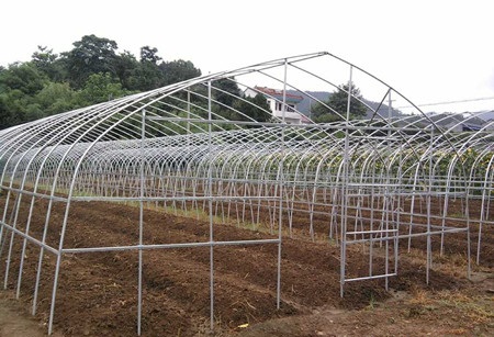 Single-Span Tunnel Greenhouse for Vegetable Grower with Steel Structure