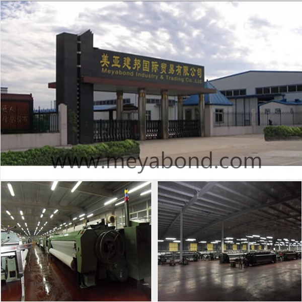 Polyethylene Hail Net for Protect Plant