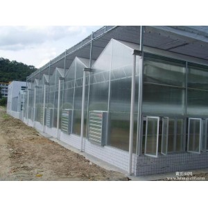 Economical Commercial Polycarbonate Sheet Greenhouse